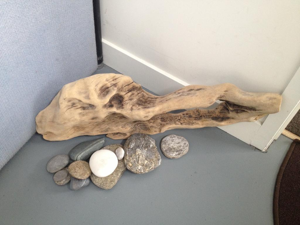 Driftwood Studio Queenstown Rum bild